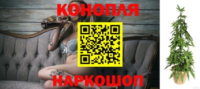стафф Тверь